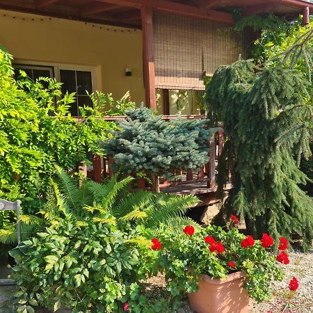 Apartament Malinowa Dolina Klodzko Bagian luar foto