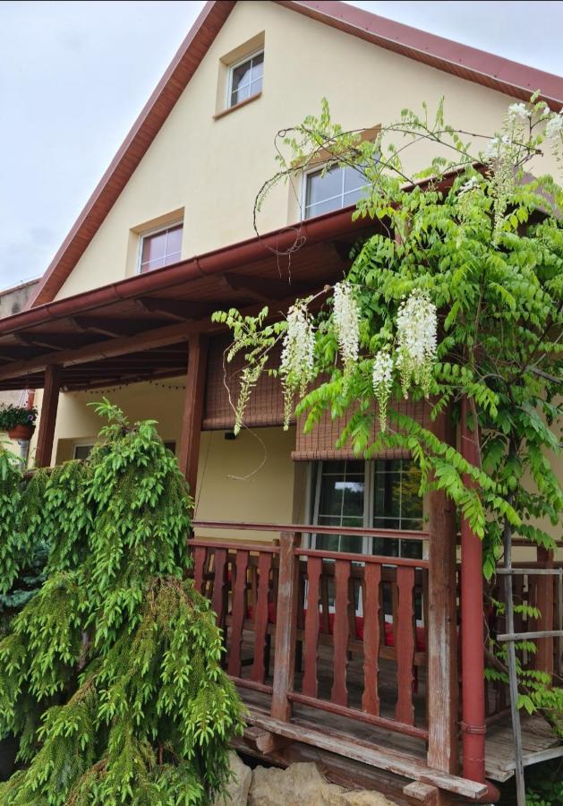 Apartament Malinowa Dolina Klodzko Bagian luar foto